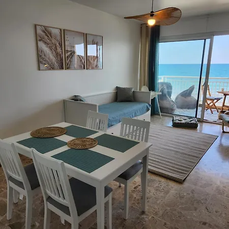 T2 Front De Moriani-plage *